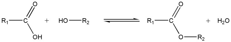 action_acide_et_alcool.jpg